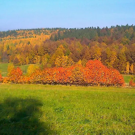 W Cieniu Slonca Wlen