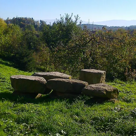 בית אירוח W Cieniu Slonca