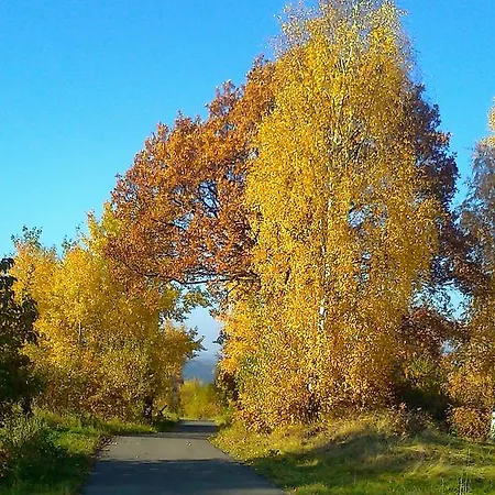 W Cieniu Slonca Wlen